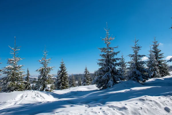 Árboles Helados Cubiertos Nieve Las Montañas Navidad Concepto Vacaciones Invierno —  Fotos de Stock