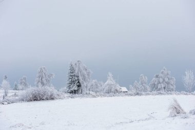 Karla kaplı ağaçlar ve tepeler ile kışın kırsal alan