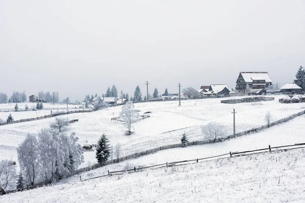 Winter Countryside Landscape Snow Covered Trees Hills — Stock Photo, Image