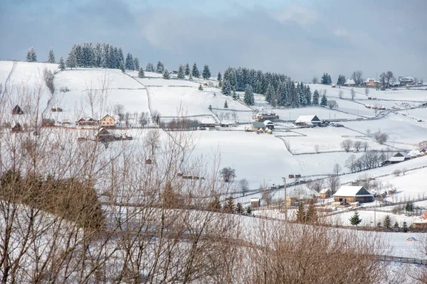 Winterlandschaft Mit Schneebedeckten Bäumen Und Hügeln — Stockfoto