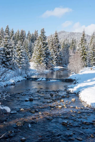 Zimní Proudem Vody Lese Sněhem Zahrnuty Stromy — Stock fotografie