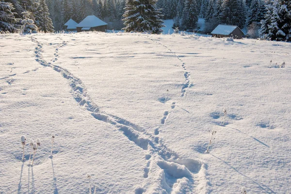 Winterlandschap Met Besneeuwde Bomen Heuvels — Stockfoto