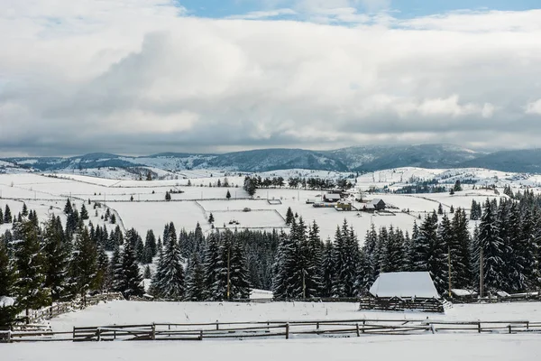 Paisagem Rural Inverno Com Árvores Cobertas Neve Colinas — Fotografia de Stock