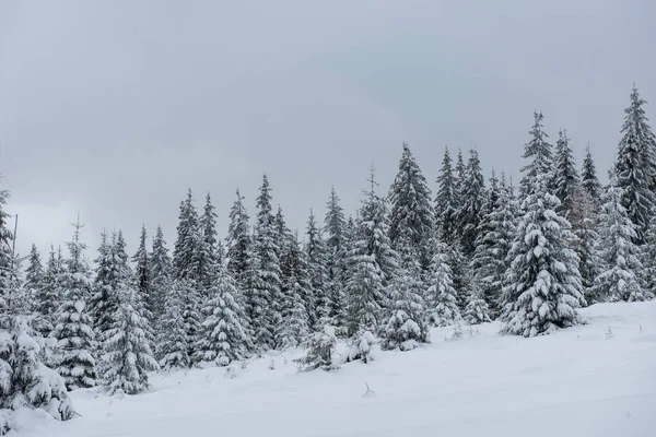 Älvvinterlandskap Med Granar Julhälsningar Bakgrund Med Snöig Skog Bergen — Stockfoto