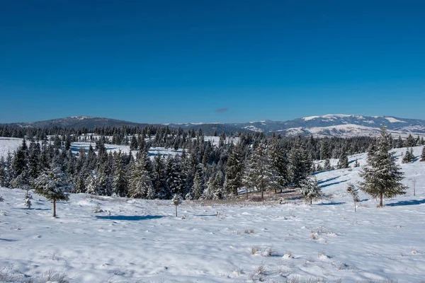 木々の上に雪と美しい冬の風景 — ストック写真
