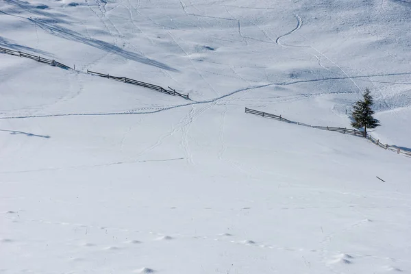 Зимовий Сільський Пейзаж Засніженими Деревами Пагорбами — стокове фото