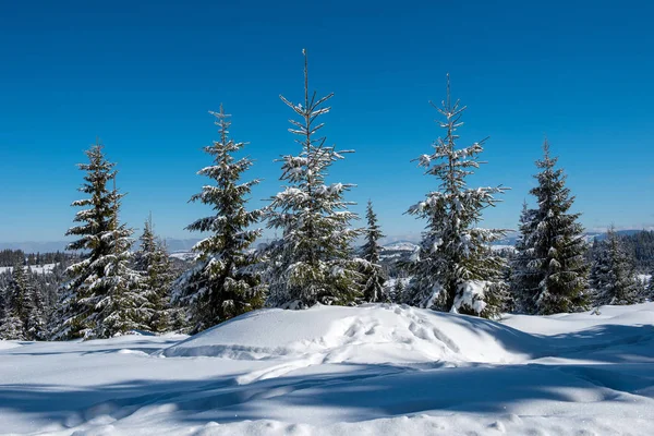 Fondo Navidad Bosque Cubierto Nieve Escénica Invierno —  Fotos de Stock