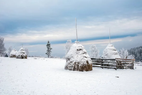 Zimní Krajina Zasněženými Stromy Kopci — Stock fotografie