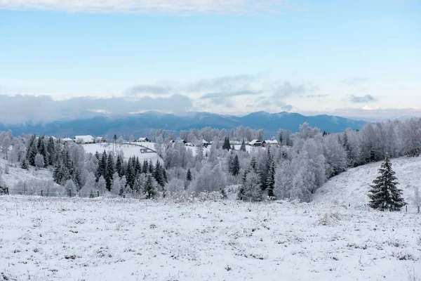 Зимний Пейзаж Заснеженными Деревьями Холмами — стоковое фото
