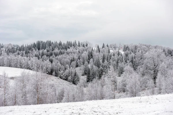 Зимний Пейзаж Заснеженными Деревьями Холмами — стоковое фото