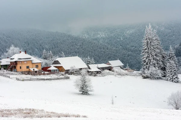 Paisagem Rural Inverno Com Árvores Cobertas Neve Colinas — Fotografia de Stock