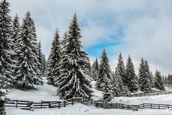 Boże Narodzenie Nowy Rok Tło Drzewami Zimowymi Górach Pokryte Śniegiem — Zdjęcie stockowe