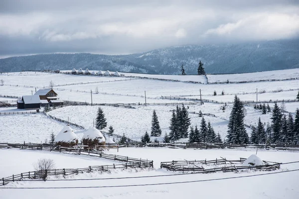 Paisagem Rural Inverno Com Árvores Cobertas Neve Colinas — Fotografia de Stock