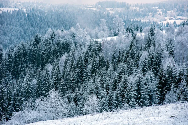 Schöne Winterlandschaft Mit Schnee Auf Den Bäumen — Stockfoto