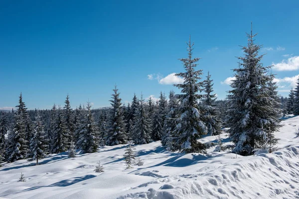 Árboles Helados Cubiertos Nieve Las Montañas Navidad Concepto Vacaciones Invierno — Foto de Stock