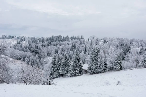 Krajobraz Zimowy Bajki Jodłami Świąteczne Pozdrowienia Tło Śnieżnym Lasem Górach — Zdjęcie stockowe