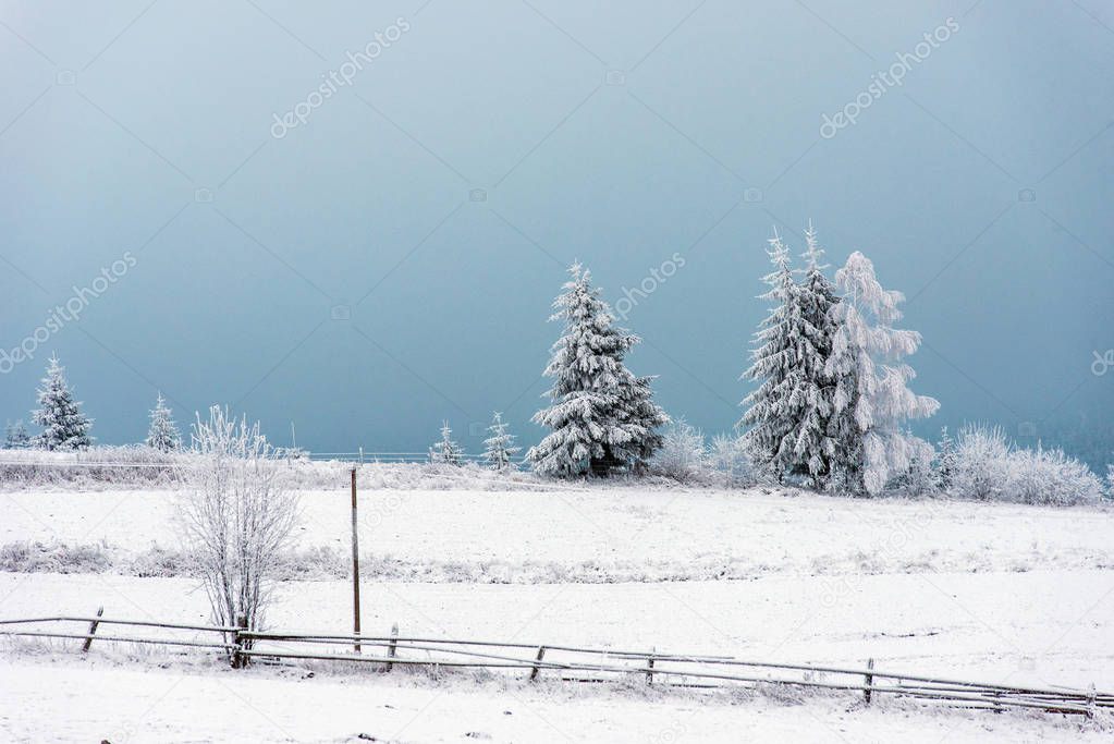 Winter countryside landscape with snow covered trees and hills