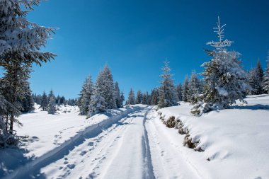 Karlı dağ ülkede yol orman