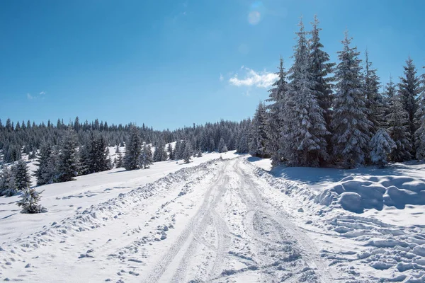 Snowy Mountain Country Road Forest — Stock Photo, Image