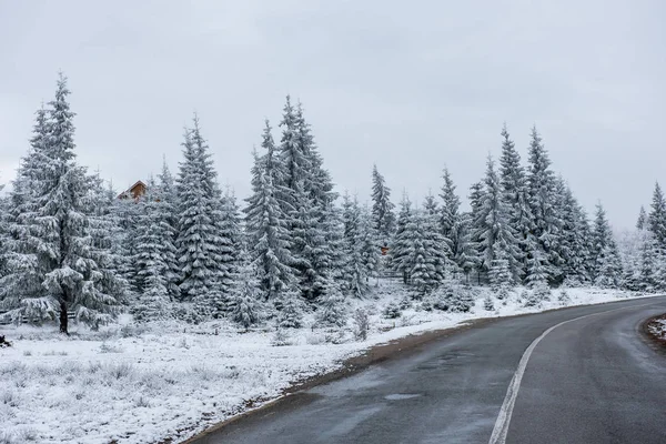 Winterliche Asphaltstraße Verschneiten Wald — Stockfoto