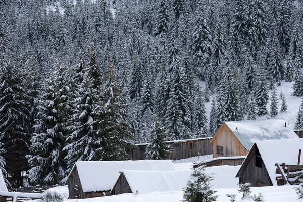 Zimowy Górski Krajobraz Wsi Pokrytymi Śniegiem Domami — Zdjęcie stockowe