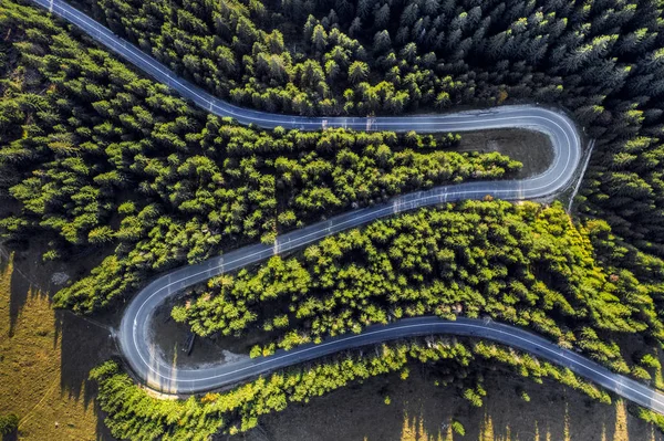 Vista Aérea Drone Estrada Sinuosa Através Floresta Verde — Fotografia de Stock