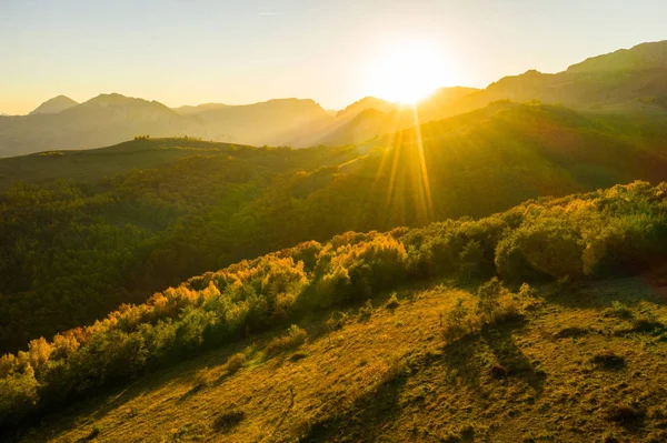 Vue Aérienne Par Drone Forêt Automne Sous Les Rayons Coucher — Photo