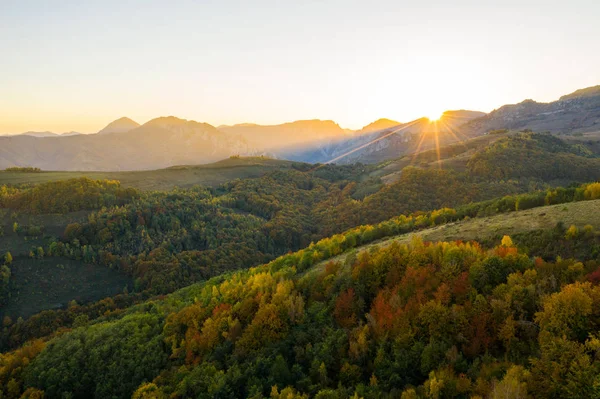 Aerial Drone View Autumn Forest Sunset Lights — Stock Photo, Image