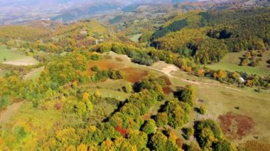 Uçan sonbahar orman yukarıda. 4 k dron video