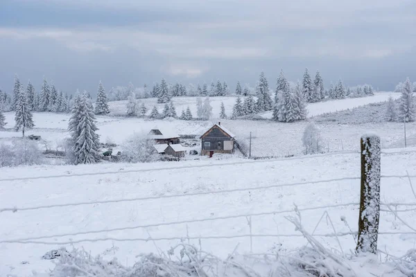 Vinterlandskap Med Snötäckta Träd Och Kullar — Stockfoto