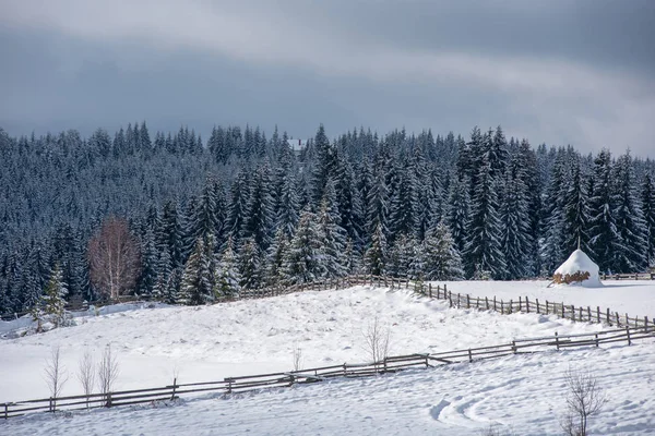 Paisagem Rural Inverno Com Árvores Cobertas Neve Colinas — Fotografia de Stock