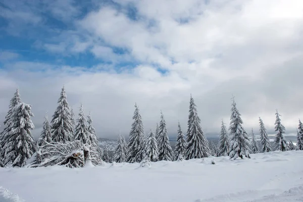 圣诞背景下 冬季山清水秀的雪覆林 — 图库照片