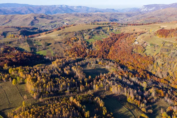 Flygfoto Över Färgglada Hösten Skogen Från Drönare — Stockfoto