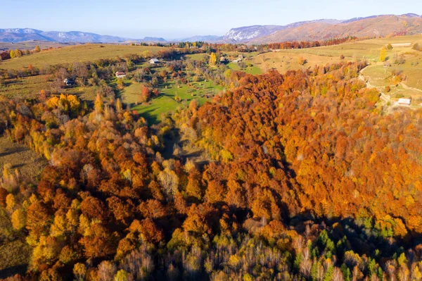 Flygfoto Över Färgglada Hösten Skogen Från Drönare — Stockfoto