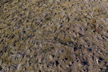 Endüstriyel ormansızlaşma alan Romanya hava görünümünü. Bir dron yukarıda orman yok