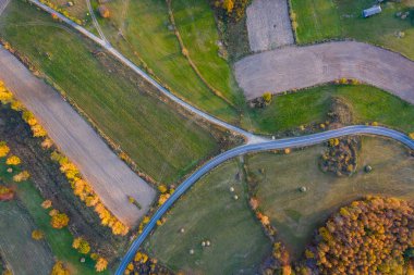 Kırsal toprak yol sonbahar hava dron görünümü