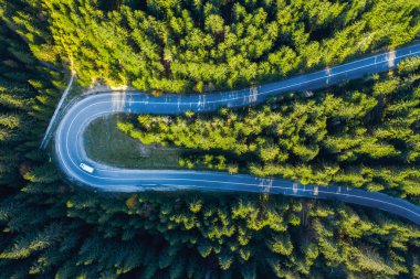Bir dron canlı yeşil çam ormanı ile serpantin yolun üzerinden havadan görünümü