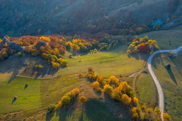 Widok Lotu Ptaka Pięknymi Wzgórzami Jesień Kolorowy Las Drone Transylwania — Zdjęcie stockowe