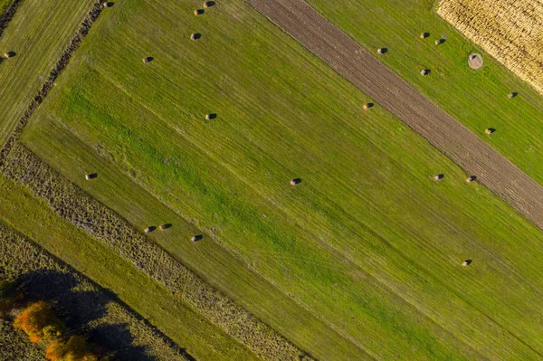 Воздушный Беспилотный Обзор Зеленого Поля Круглыми Стогами Сена Сушеными Тюками — стоковое фото