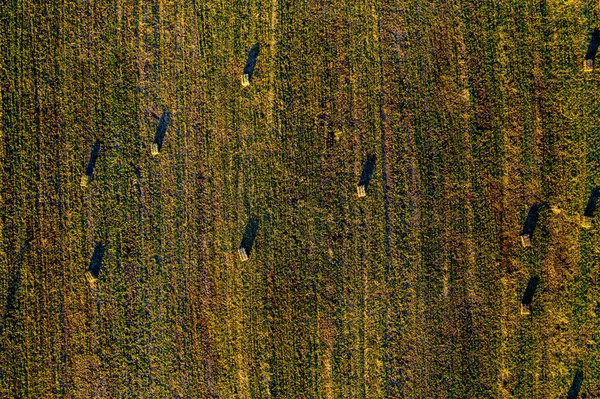 Vue Aérienne Par Drone Champ Vert Avec Des Meules Foin — Photo