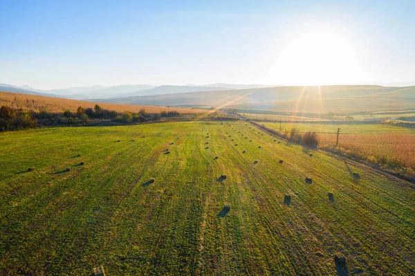 Aerial Drönarvy Ett Grönt Fält Med Runda Höstackar Torkat Balar — Stockfoto