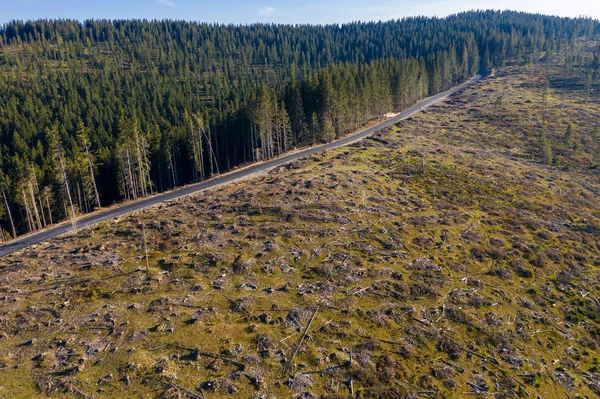 Vista Aérea Área Desflorestação Industrial Roménia Floresta Destruída Por Drone — Fotografia de Stock