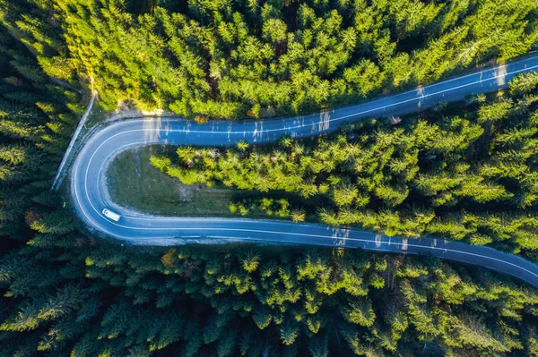 Luftaufnahme Von Einer Drohne Der Serpentinenstraße Durch Lebendigen Grünen Kiefernwald — Stockfoto