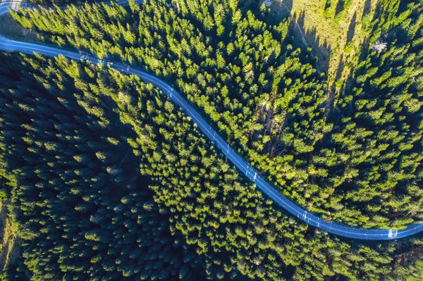 从一架蜿蜒公路的无人机鸟瞰 穿过生机勃勃的绿色松树林 — 图库照片