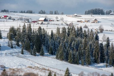 Karla kaplı ağaçlar ve tepeler ile kışın kırsal alan