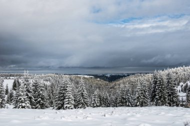 Karla kaplı köknar ağacı ormanıyla inanılmaz kış manzarası.