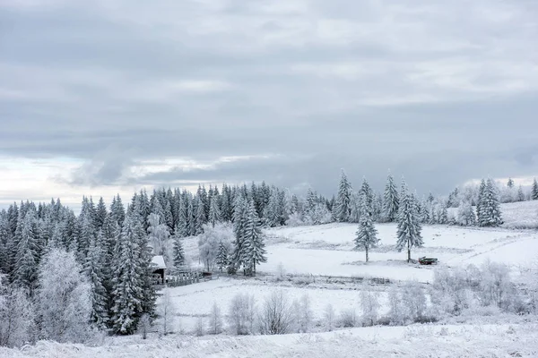 Paisaje Invierno Con Árboles Cubiertos Nieve Colinas — Foto de Stock