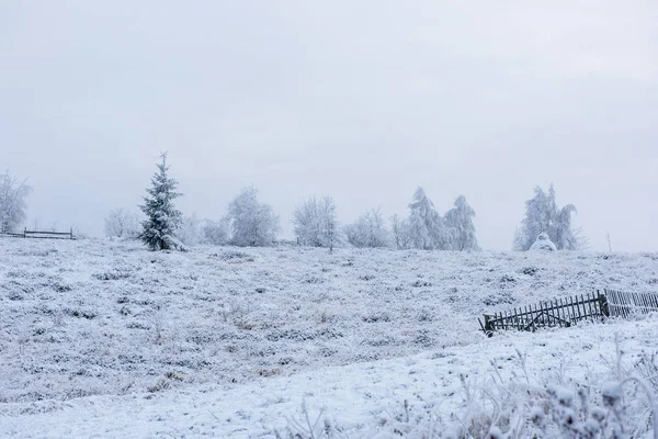 Neve Cobriu Árvores Congeladas Nas Montanhas Tempo Natal Conceito Férias — Fotografia de Stock