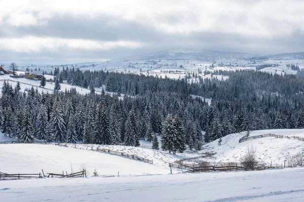 Krajobraz Zimowy Pokrytymi Śniegiem Drzewami Wzgórzami — Zdjęcie stockowe