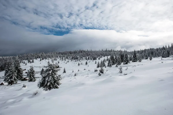 Árboles Helados Cubiertos Nieve Las Montañas Navidad Concepto Vacaciones Invierno —  Fotos de Stock